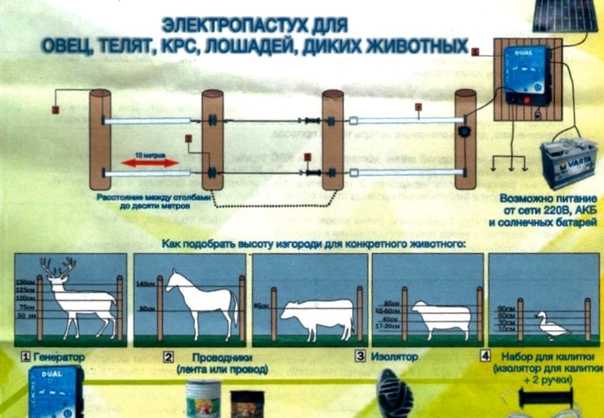 Устройство электропастуха для коров схема