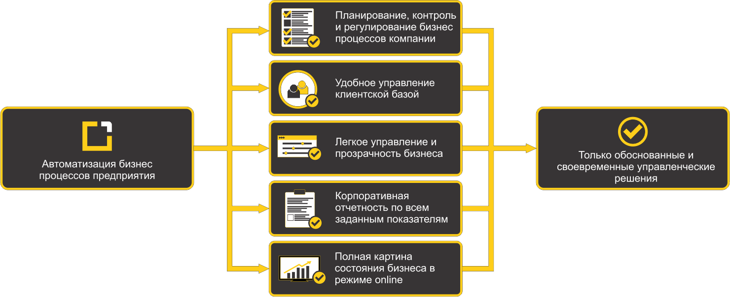 Бизнес направления бизнес процессы охватываемые проектом автоматизации представляют собой