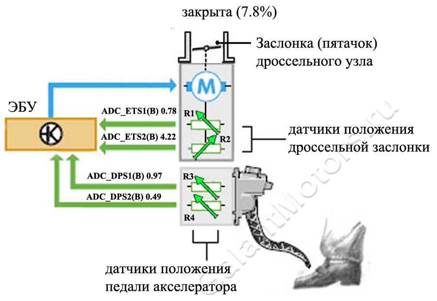 Установка датчика положения дроссельной заслонки калина