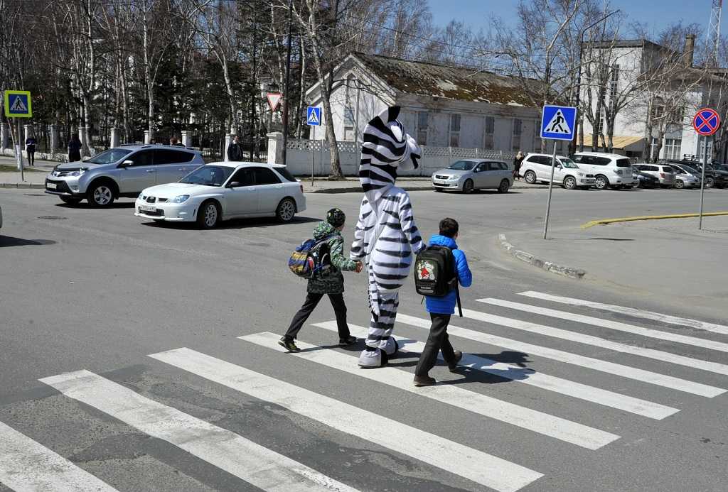 По какой стороне дороги должен идти пешеход по пдд?