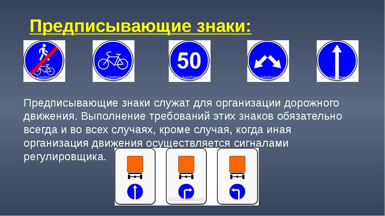 Знаки предписывающие дорожного движения презентация