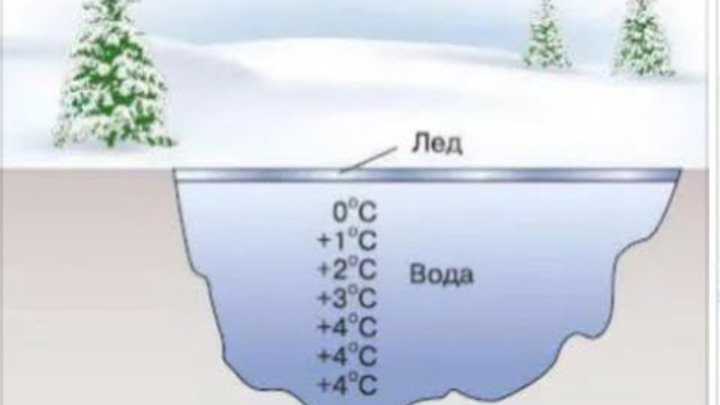 Где самые теплые воды. Термическое расширение воды. Процесс замерзания воды в емкости. Промерзание воды. Расширение воды при замерзании.