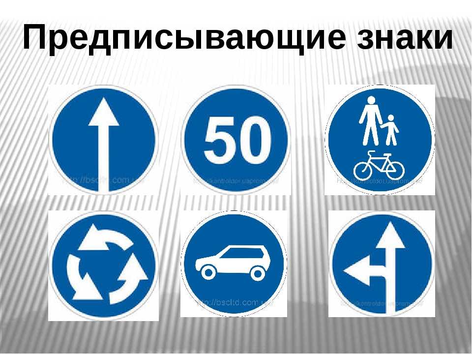 Дорожные знаки скорости на синем фоне: какие ограничения и разрешённая скорость?