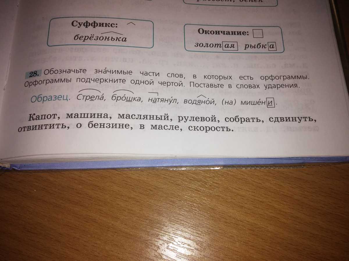Правописание "отвезти" и "отвести": в каких случаях как верно, грамматика, употребление